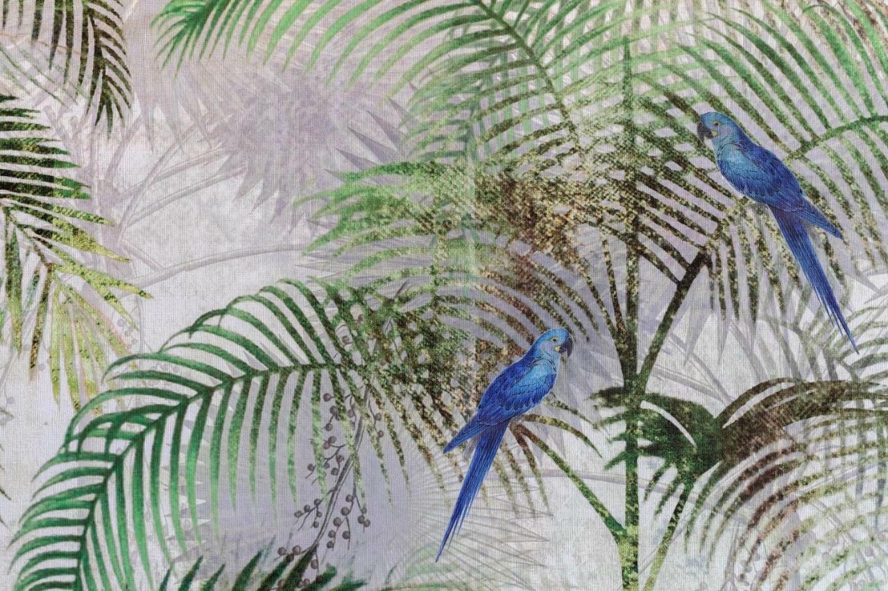 מלון פלאייה דה פאלמה Hm Ayron Park - Adults Only מראה חיצוני תמונה Blue parrots